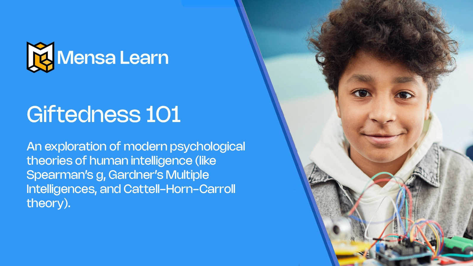 Giftedness 101